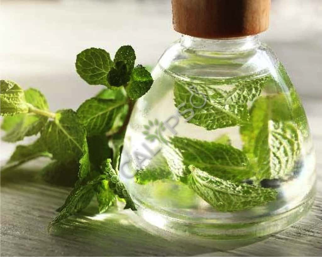 Aceite esencial de menta